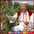 Low price goji berry can make goji cream goji price on sales promotion!